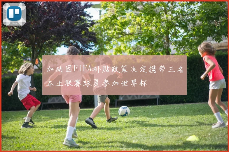 加纳因FIFA补贴政策决定携带三名本土联赛球员参加世界杯