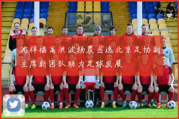 沈祥福高洪波杨晨当选北京足协副主席新团队助力足球发展