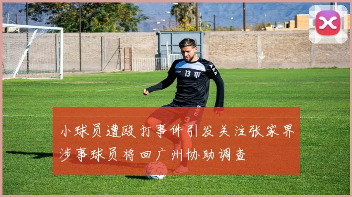 小球员遭殴打事件引发关注张家界涉事球员将回广州协助调查